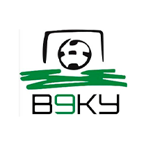 Громадська організація  «Асоціація міні-футболу»