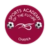 SAF Chayka-3 17'
