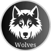 ФК «Wolves»-2 18`