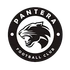 ФК «Pantera» 15'