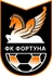ФК "Фортуна-TIREX" (Суми)